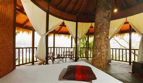 Rainforest Boutique Resort Athirapally Luxury Rooms Rates Booking Kerala