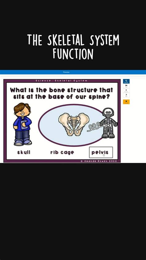 Skeletal System Functions 的图像结果