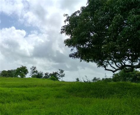 Sustainability Initiatives | Tata Hitachi