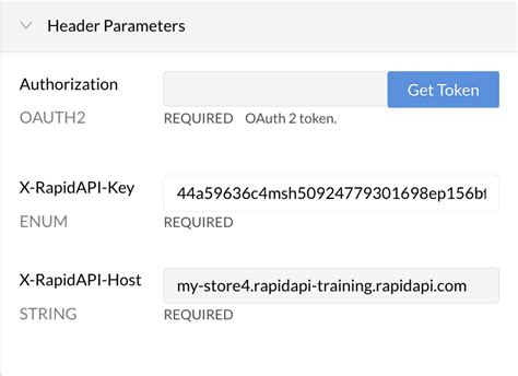 How to Secure API Key and Link in Code 的图像结果