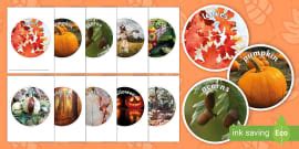 👉 Autumn Pictures for Children | KS1 Display Resources