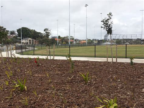 Chifley Sportsfield 的图像结果