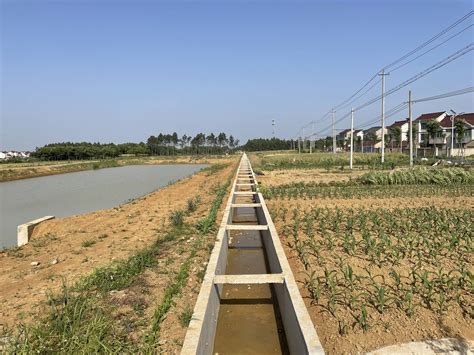 智能灌溉为农田精准补水
