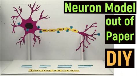 Neuron Model Project 的图像结果