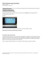 Image result for DNA Fingerprinting Lab Worksheet Printable