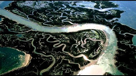 Image result for Delta PCO2