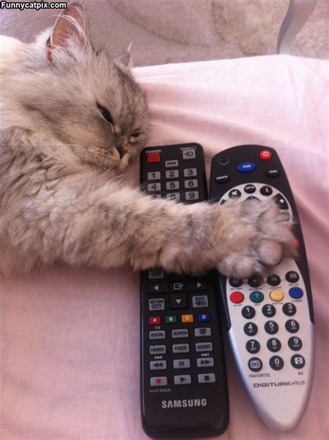 Image result for Do Not Change Channel. Sign