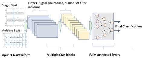 Applications of Machine Learning in Ambulatory ECG