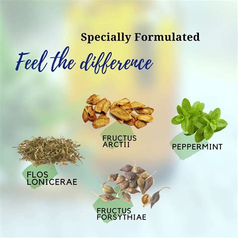 Buy GinSen Yin Qiao San Jie Du Pain Helps with Antiviral Flu, Cold ...