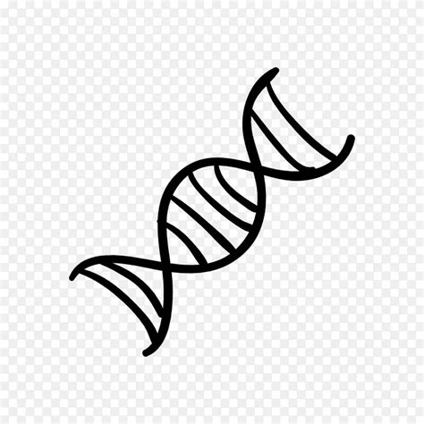 Dna双螺旋 的图像结果