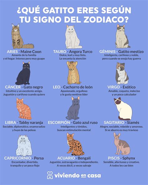 Adorable Spanish Cats