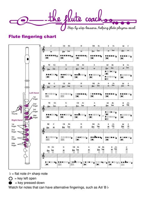 Image result for Advanced Flute Finger Chart