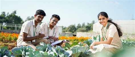 Tailoring India’s Agricultural Education for the 21st Century Youth ...