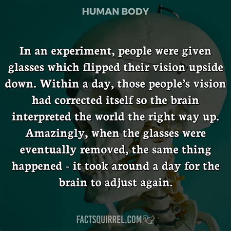 Image result for Vision Experiment