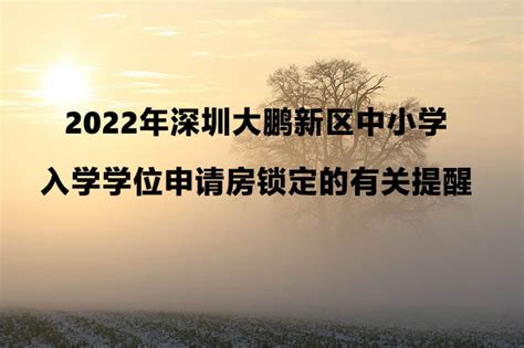 2021年深圳学位锁定最新政策详解 10区实行全区锁定- 深圳本地宝