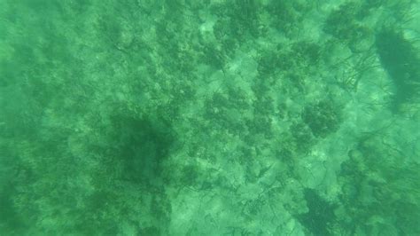 OpenCV Python PNG 的图像结果