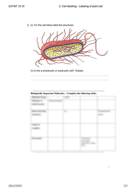 Image result for Labelling Labeling