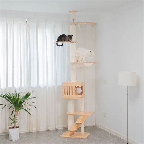 PETOMG Rubber Wood Cat Tree Floor to Ceiling, No Drilling, Adjustable ...