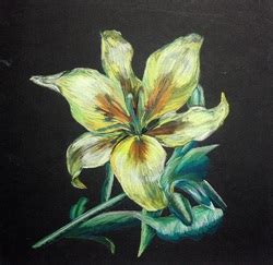 Image result for Animation Drawing Example Mil