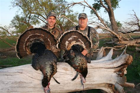 Oklahoma Turkey Hunting guide, Oklahoma Turkey Hunting Outfitter