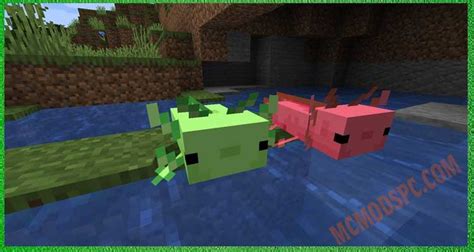 Image result for Minecraft Java Edition Axolotl Mod