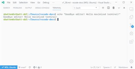 Image result for Visual Studio Panel