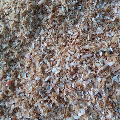 Image result for Shrimp Shell