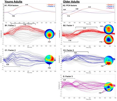 Temporal Dynamics of Event-Related Potentials during Inhibitory Control ...