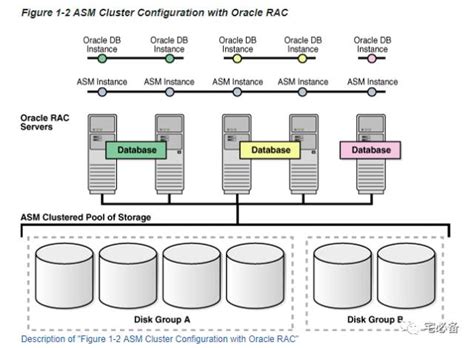 Oracle ASM Tutorial 的图像结果