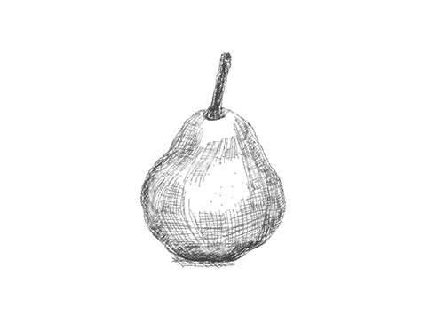 Image result for Example of Hatching Drawing
