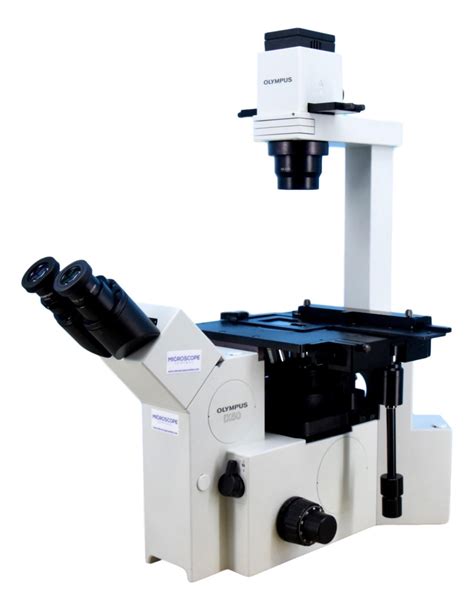Olympus IX50 Inverted Phase Contrast Microscope – Microscope Central
