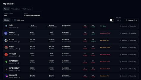 Track all coins in your wallet on Solana Tracker