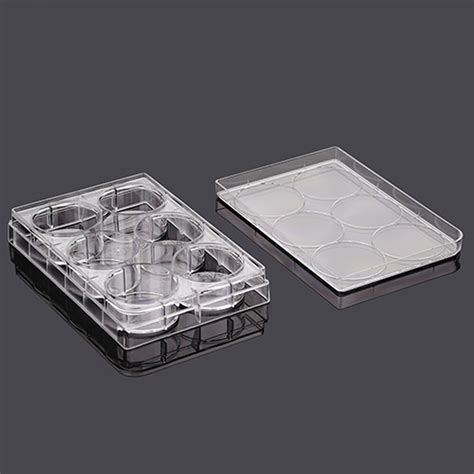 Cell 2D 的图像结果