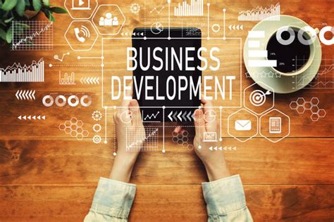 Business Develop 的图像结果