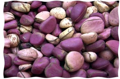 Image result for Android Forgot Pattern