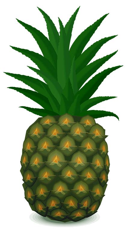 Pineapple Hub Script Pastebin 的图像结果