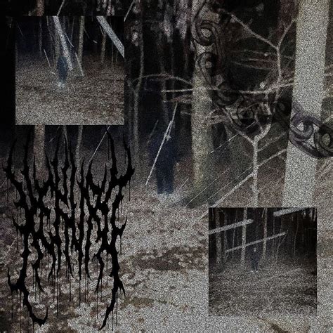 XEKURO – лесополоса (forest belt) Lyrics | Genius Lyrics