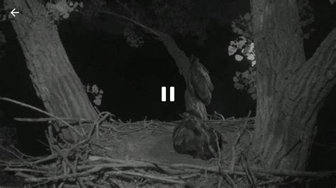 Descargar Ustream 3.2 APK Gratis para Android