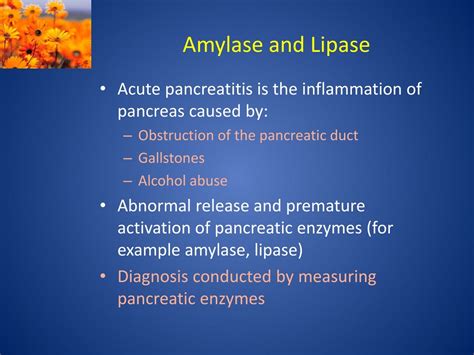 PPT - Biochemical markers for diagnosis of diseases and follow up ...