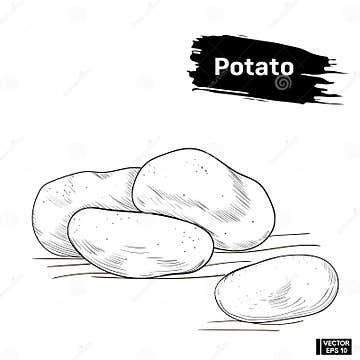 Image result for Potato Man Project Python Coding