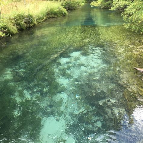 GRASS LAKE - All You Need to Know BEFORE You Go 2026 (with Photos ...