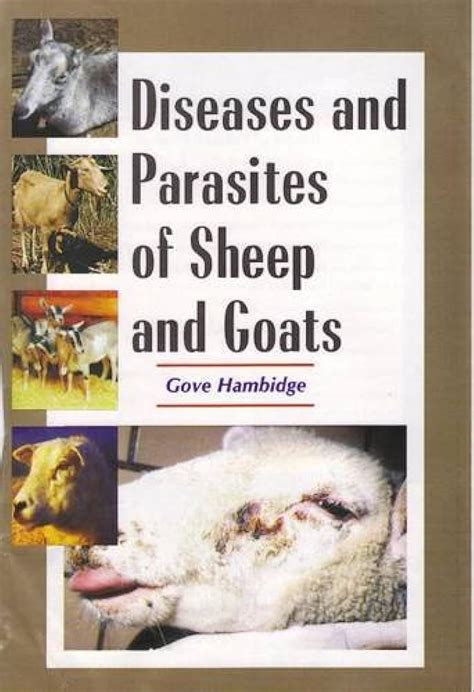 Diseases and Parasites of Sheep and Goats : Hambidge, Gove: Amazon.in ...
