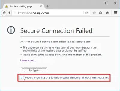 Mozilla Your Connection Is Not Secure Error 的图像结果