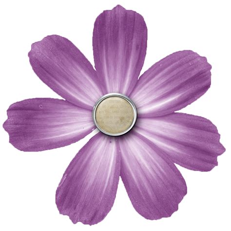 Image result for Scanning Computer Icon