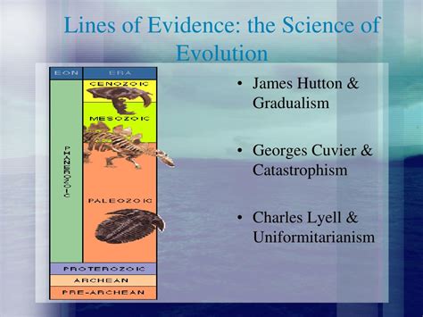 Image result for Evolution Introduction