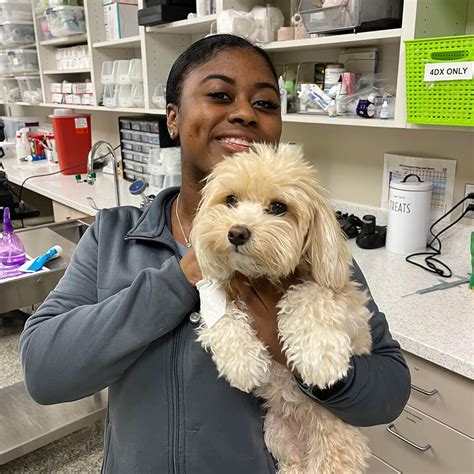 Veterinarian Suwanee, GA | Tiger Tails Animal Hospital