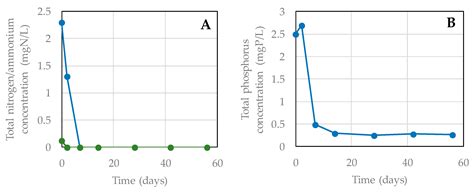 Brown Coconut Husks as Media Within an Anaerobic Filter for Improving ...