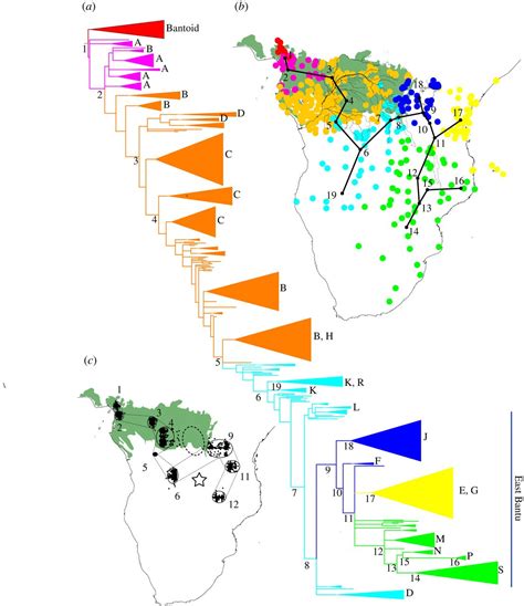 Why Did The Bantu's Migrate From Eastern Nigeria To Central And Southern Africa? - Culture - Nigeria