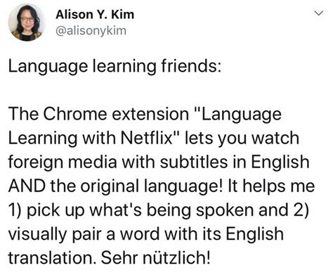 Image result for Netflix Learning Language How to Log In