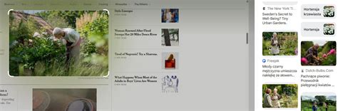 Google以图搜图 的图像结果